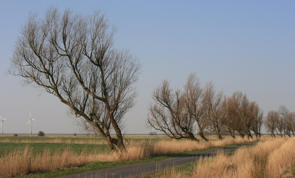 Landhaus Krabbe Von Greetsiel Exteriör bild