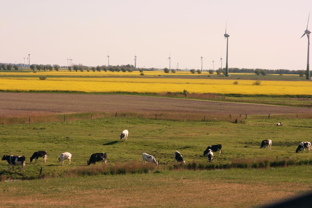 Landhaus Krabbe Von Greetsiel Exteriör bild